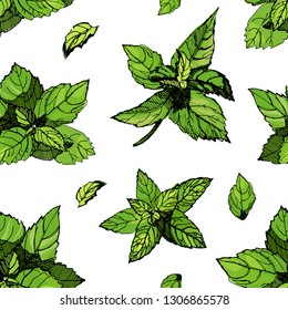 Seamless pattern with mint. Mint vector drawing illustration, isolated on the white background. Herbal engraved style illustration.Great for fabrics, wallpaper,packaging.