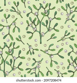 Patrón sin foco con mistleto: planta de mistletoe, bayas y rama de mistletoe. Álbum de Viscum. Planta cosmética y médica. Ilustración dibujada a mano por el vector