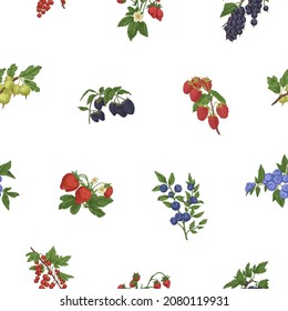 Seamless pattern with mix of berry branches. Endless botanical background with bilberry, blackberry, cranberry and currant fruits. Repeating design in retro style. Hand-drawn vector illustration