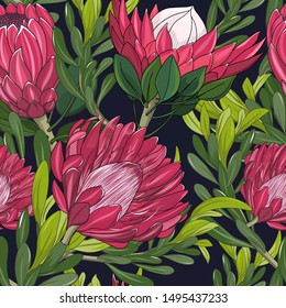 seamless pattern of mixed protea flower,australia native plant on blue background