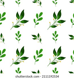 Nahtlose Muster in modernem Stil, grüne Zweige von Pflanzen auf weißem Hintergrund. Modernes Design für Papier, Deckel, Stoff, Inneneinrichtung und andere Benutzer.