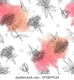 Seamless Pattern with Monarda , Bergamot. Detailed hand-drawn sketches, vector botanical illustration. For textile, background, packaging design.