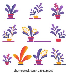 Seamless Pattern of Money Houseplants in Pots on White Background. Tropical House Plants Creative Floral Texture for Fabric, Wrapping Paper, Textile. Botanical Ornament, Print Flat Vector Illustration