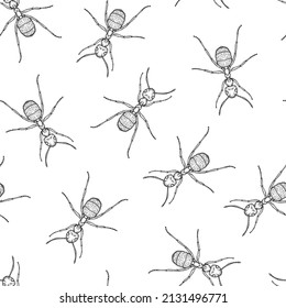 Seamless pattern of monochrome ants illustration. Vector illustration template