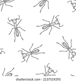 Seamless pattern of monochrome ants illustration. Vector illustration template