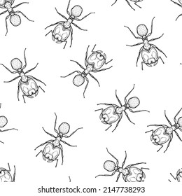 Seamless pattern of monochrome ants illustration. Vector illustration template