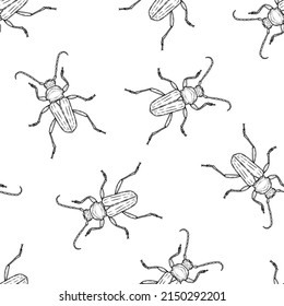 Seamless pattern of monochrome beetles illustration. Vector illustration template