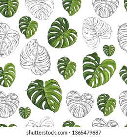 Seamless pattern with monochrome and colored  monstera leaves isolated on white background. Hand drawn ink sketch. Vector illustration.