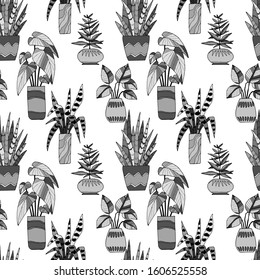 seamless pattern in monochrome colors, cacti and houseplants in pots, wallpaper ornament, wrapping paper, book design