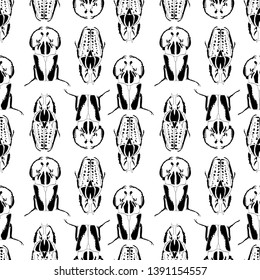 Seamless pattern with monochrome drawing of beetles. Graphic  black and white background. 