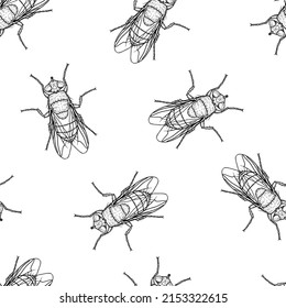 Seamless pattern of monochrome flys illustration. Vector illustration template