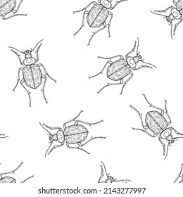 Seamless pattern of monochrome ground beetles illustration. Vector illustration template