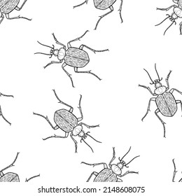 Seamless pattern of monochrome ground beetles illustration. Vector illustration template