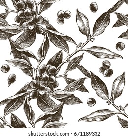 Seamless pattern with monochrome hand drawn coffee tree branches