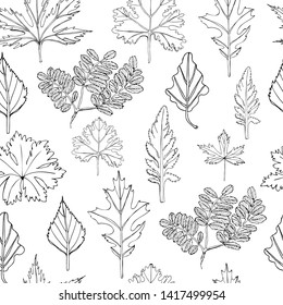 Seamless pattern with monochrome  leaves of trees and flowers. Hand drawn ink sketch isolated on white background.