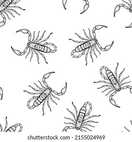 Seamless pattern of monochrome scorpions illustration. Vector illustration template EPS 10