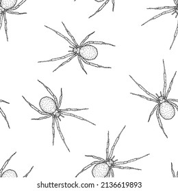 Seamless pattern of monochrome spiders illustration. Vector illustration template