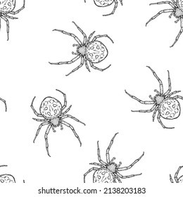 Seamless pattern of monochrome spiders illustration. Vector illustration template