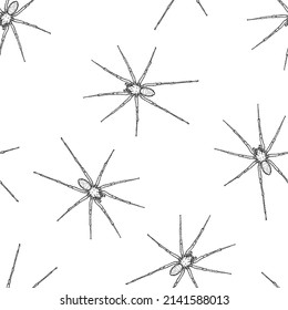 Seamless pattern of monochrome spiders illustration. Vector illustration template