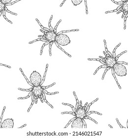 Seamless pattern of monochrome spiders illustration. Vector illustration template