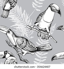 Seamless pattern. Monochrome Toucan and exotic leaves on a gray background. Vector illustrations.