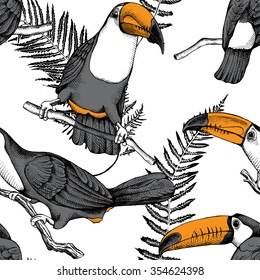 Seamless pattern. Monochrome Toucan with orange beak on branch and exotic leafs. Vector illustrations.