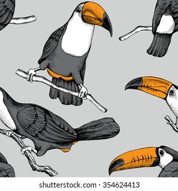 Seamless pattern. Monochrome Toucan with orange beak on branch. Vector illustrations.