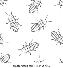 Seamless pattern of monochrome whiskered Madagascar cockroach illustration. Vector illustration template