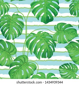 Seamless pattern with monster leaves of tropical plants. Exotic leaves monster against the blue and green bands. Vector graphics.