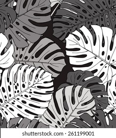 Seamless Pattern Monstera Black & White