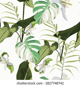 Seamless pattern with monstera and exotic tropical leaves. Illustration on white background.	