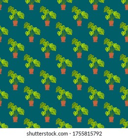 Patrón sin foco con planta interior monstera en la olla. Ilustración vectorial, estilo plano.
