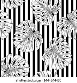 Seamless pattern of monstera leaves. Monstera leaves are drawn as a sketch on a striped background.