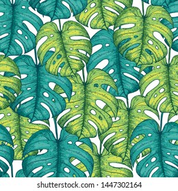 Seamless pattern with monstera leaves. Green background. Hand drawn vector illustration. Jungle pattern. 