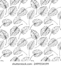 Seamless pattern with monstera leaves. Hand drawn tropical background.