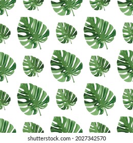 Seamless pattern with monstera leaves. Natural realistic background.