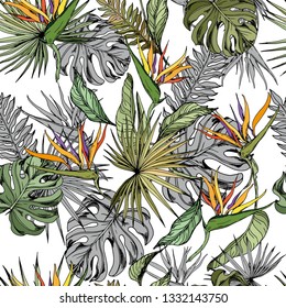 Seamless pattern with monstera leaves and strelitzia flowers. Hand drawn vector on white background.