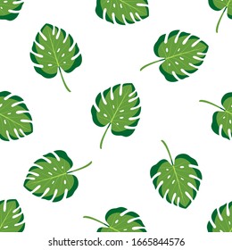 Seamless pattern with monstera leaves. Vector illustration of summer on white background. Exotic wallpaper with green tropical leaves. For web, banners, scrapbooking, printing on fabric, wrapping.