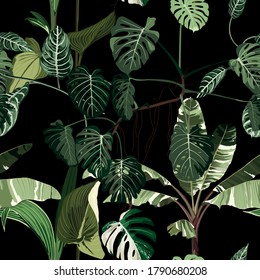 Seamless pattern of monstera plant, bananas palm and many exotic leaves. Tropical leaves of palm tree. Black background.