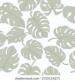 Modelo inconsútil de las hojas de la planta de Monstera, el tropical aislado en el fondo blanco