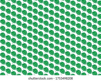 Seamless pattern of Monstera plant on white background shown in a minimal concept