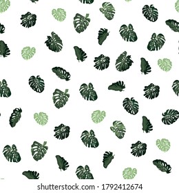 Seamless pattern of monstera. Tropical leaves of palm tree. White background.