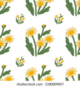 Seamless pattern with moon daisy flower on white background .
