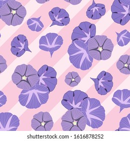 Seamless pattern of morning glory flowers on pink stripes