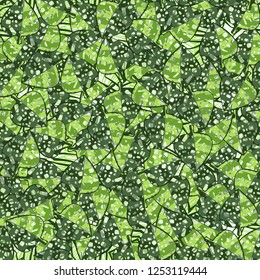 Seamless pattern. Motley green maple leaves lying on a background of square suns. Camouflage.