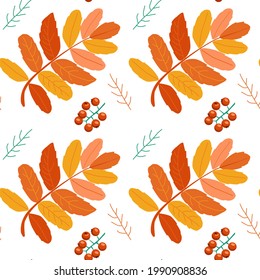 Seamless pattern of mountain ash twigs leaves and berries. Modern patterns for fabrics and wallpaper