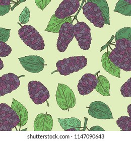 Seamless pattern with mulberry: berries and leaves. Vector hand drawn illustration