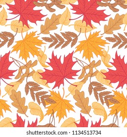Seamless pattern of multicolor autumn leaves on white background. Pattern for textile, design and decoration
