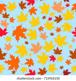 seamless pattern multicolored autumn maple leaves on light blue background vector