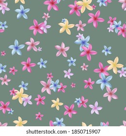 Flores de plumeria multicolores sin foco.